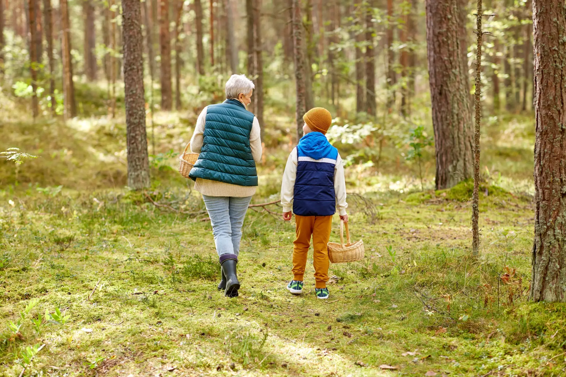 Types of Knee Replacement Surgery