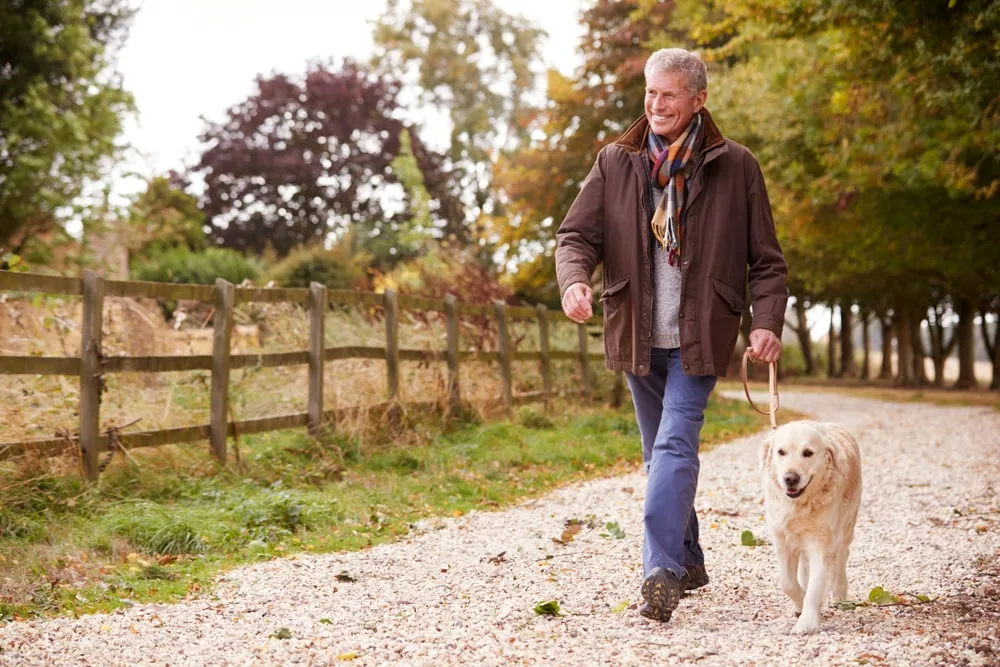 https://cos.transforminglives.co.uk/wp-content/uploads/2025/04/Hip-Replacement-Walk-min.webp