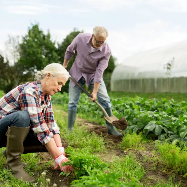 https://cos.transforminglives.co.uk/wp-content/uploads/2025/07/hip-rehab-plan-at-home-640x640.webp