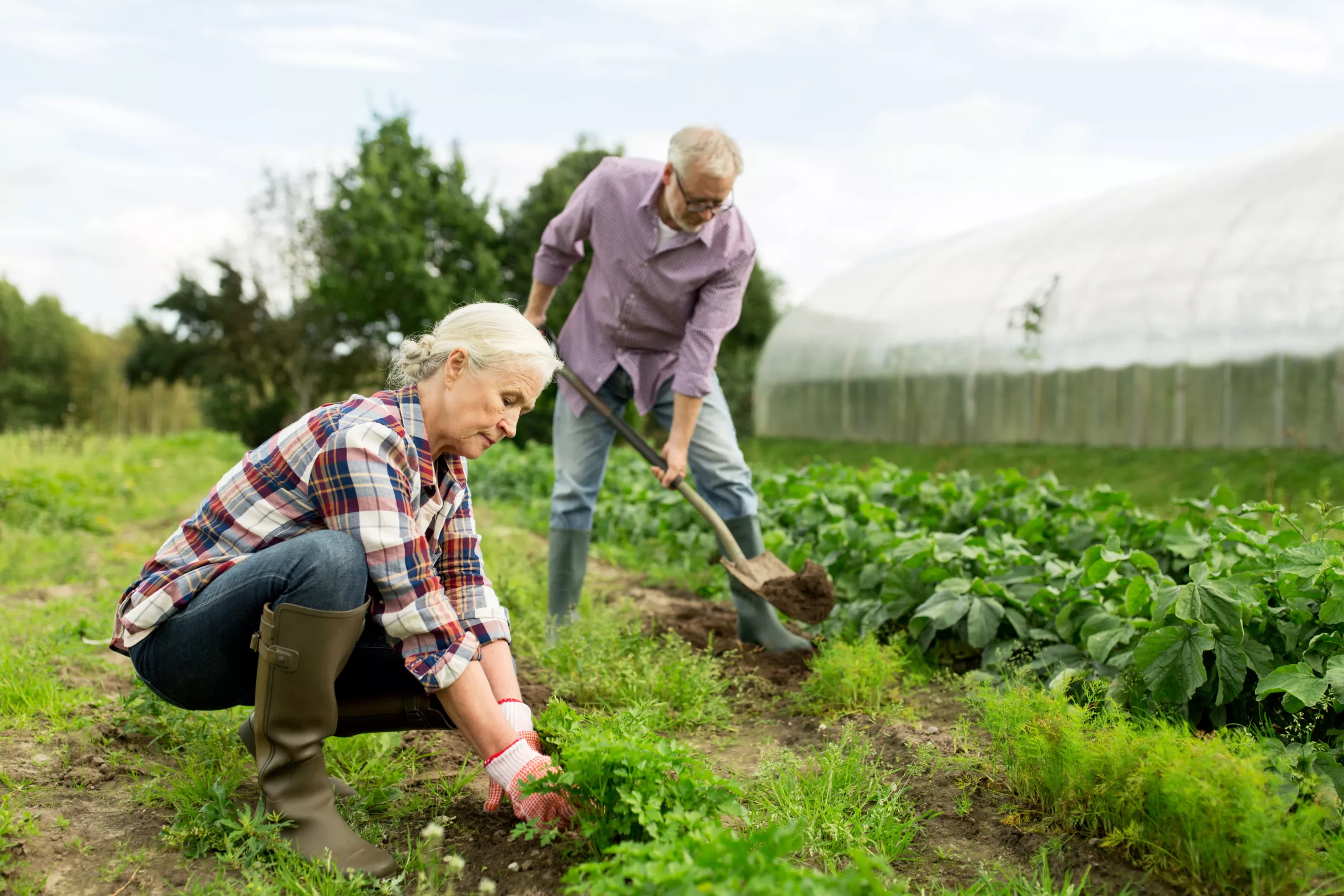 https://cos.transforminglives.co.uk/wp-content/uploads/2025/07/hip-rehab-plan-at-home-scaled.webp