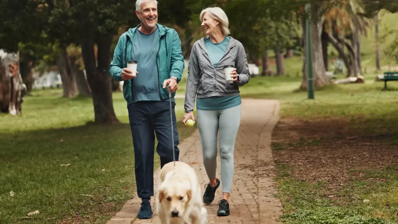 life-after-hip-replacement-one-year-on